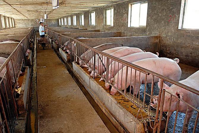 養(yǎng)豬場(chǎng)廢水處理